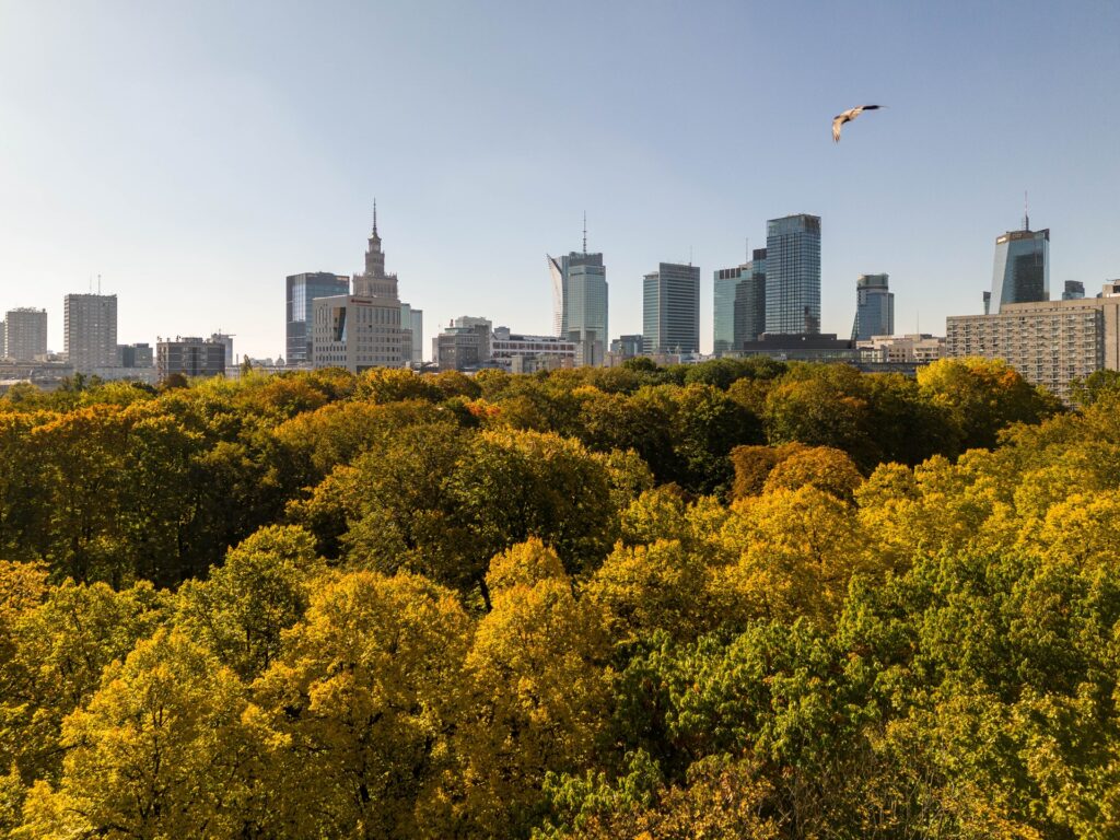 Centrum miasta wyłania się zza drzew w jesienny pogodny dzień.