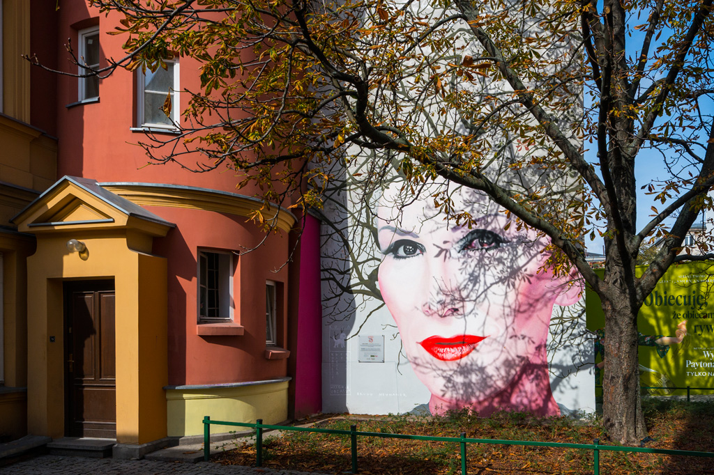 Powiększ fotografię: Mural przedstawiający twarz Kory Jackowskiej, namalowany na białej ścianie kamienicy. Widoczna twarz kobiety z intensywnie czerwonymi ustami i ciemnymi oczami. Zamiast włosów namalowane są gałęzie drzewa, które komponują się z rosnącym przed budynkiem drzewem. Idą artysty było, aby "fryzura" piosenkarki zmieniała się zgodnie z porami roku.